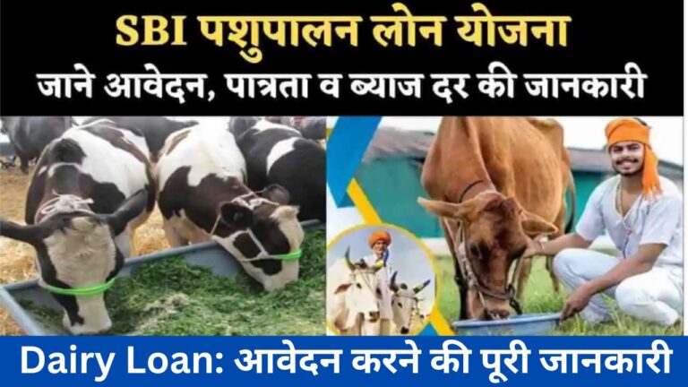 Dairy Loan 2024: आवेदन करने की पूरी जानकारी: SBI पशुपालन लोन 2024