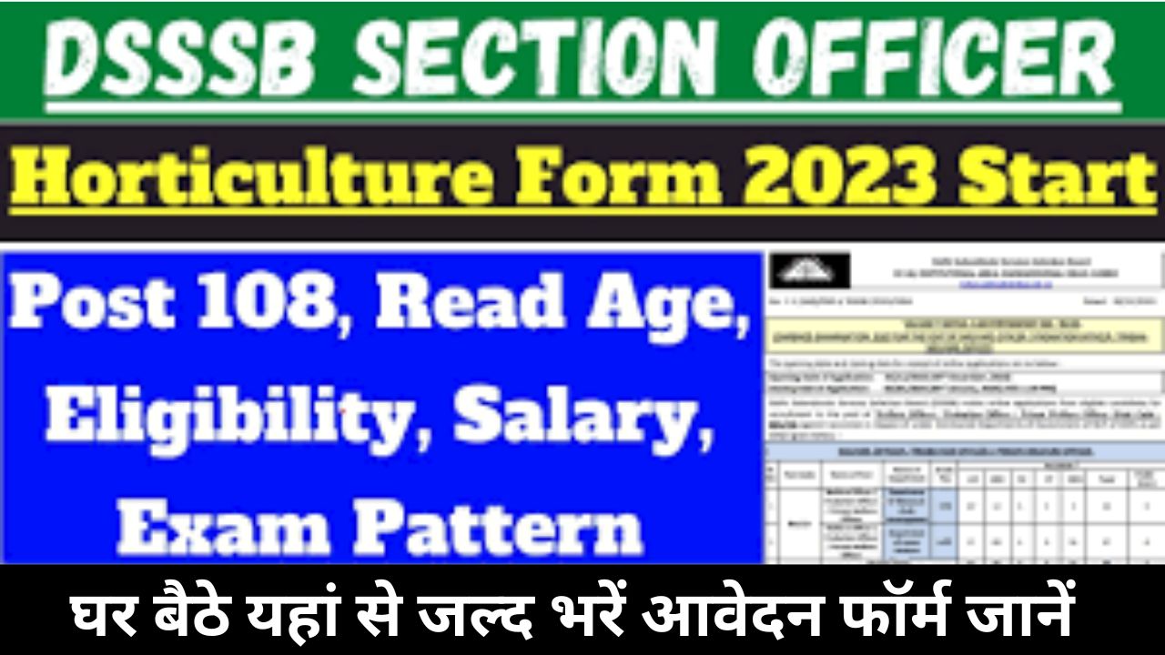 DSSSB Section Officer Recruitment 2024 डीएसएसएसबी अनुभाग अधिकारी के 108 पदों पर होगी भर्ती जानें